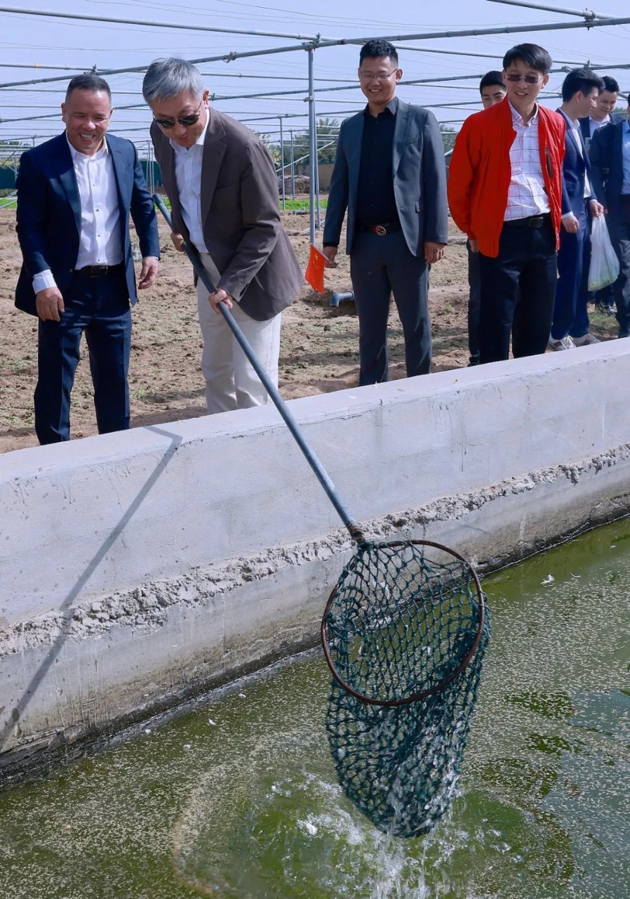 WEMART Owner Sun Jiansheng Chinese Ambassador to the UAE Zhang Yiming visit WEMART farms 4