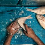 组照故事 1669255085630201856 Working Hands 6