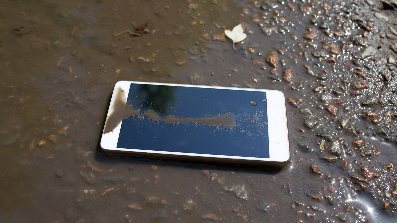 phone in puddle mud