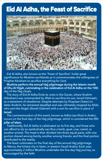 Screen Shot 2023 06 24 at 2.26.46 PM