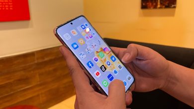 TFT Website Photo 2023 06 20T135733.786