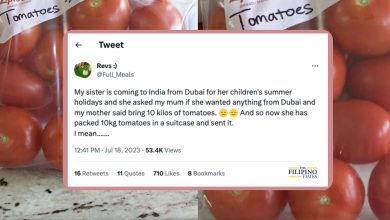 TFT NEWS tomatoes