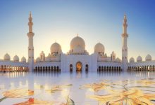 TFT Website Photo 2023 07 16T123302.321