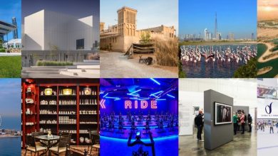 TFT Website Photo 2023 08 17T163018.785