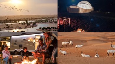 TFT Website Photo 2023 08 23T145349.626