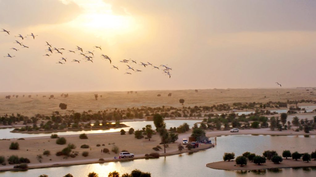 al qudra lakes 1
