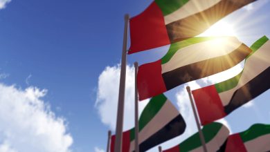 TFT Website Photo 2023 11 28T153828.506