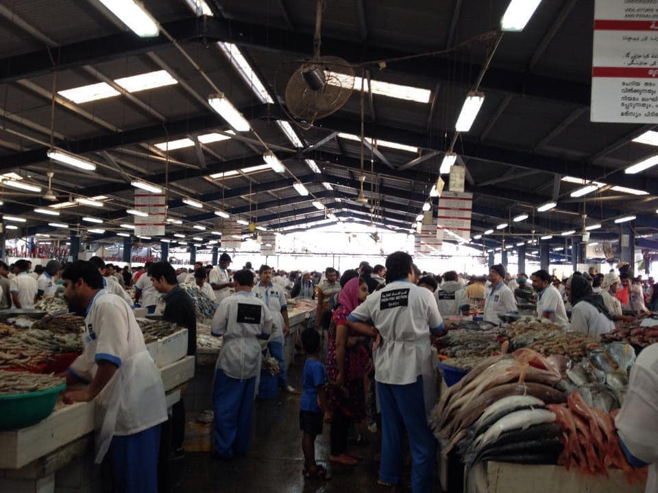 420013543 10233229596910307 3706332399297916303 n