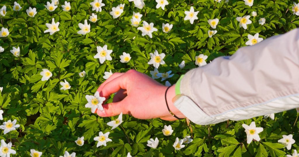 TFT Website Photo 2024 01 09T101154.136