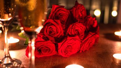 TFT Website Photo 2024 02 04T160724.172