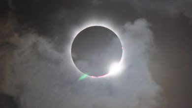 TFT News Total Solar Eclipse 2024