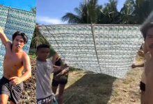 TFT News 1 million kite boy tapang