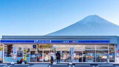 TFT News Mt Fuji Japan
