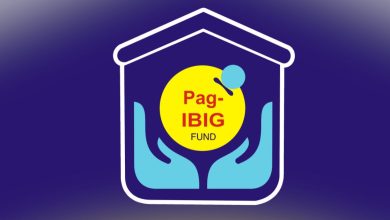 PAG IBIG FUND LOGO