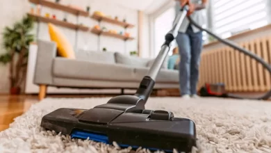 domestic worker istock