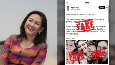 risa hontiveros calls out fake posts about her