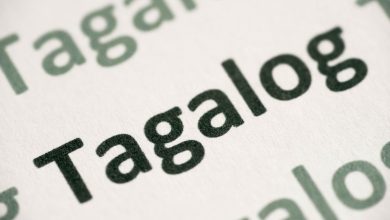 Ybeth Photo 2024 10 06T164259.118