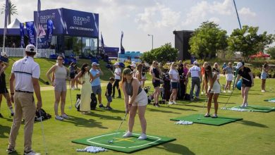 Ybeth Template 2024 12 10T095935.152