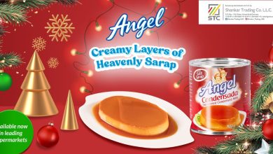 Ybeth Template 2024 12 12T155211.004