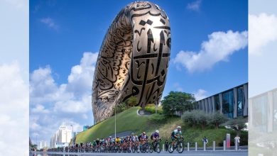 Ybeth Template 2025 01 19T133807.466