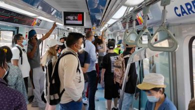 Ybeth Template 2025 01 21T175448.613