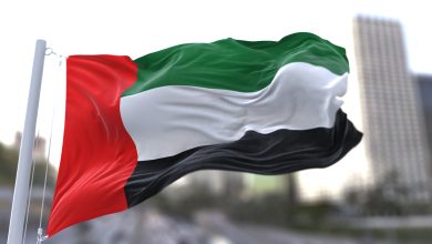 UAE Flag istock