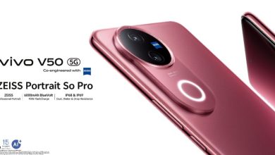 Ybeth Template 2025 02 18T152831.517