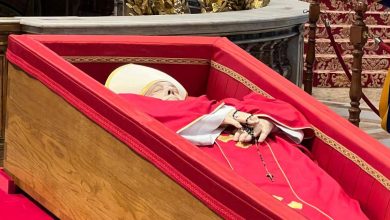 Pope Francis Alona Cochon