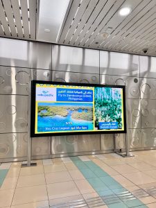 WhatsApp Image 2025 04 21 at 10.23.05 b6386841 1