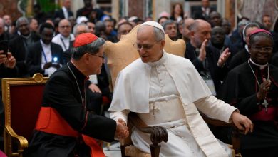 500166368 1121486566670230 2782868984280119130 n