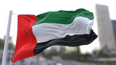 UAE Flag istock