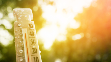 TFT Featured photo template 29 2