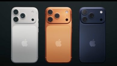 545989398 1269940631844258 4009332513881187150 n 1