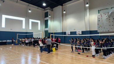 91bccdf2 8181 4a77 83ad 7d3249a6e66a