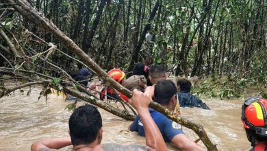 TFT Featured photo template 2025 11 06T134831.387