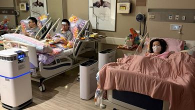 605380001 1409384197223739 8014434383457717946 n