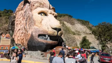 TFT Featured photo template 44