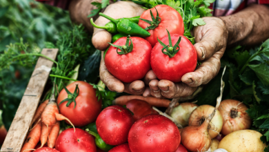 TFT Featured photo template 38