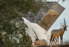 TFT Website Photo 2023 06 05T104707.564