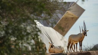 TFT Website Photo 2023 06 05T104707.564