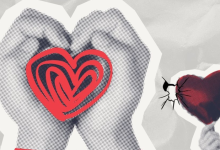 TFT Featured photo template 23