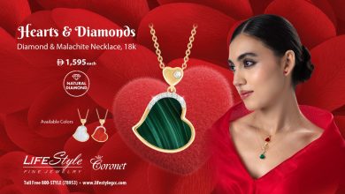 WhatsApp Image 2026 02 09 at 08.54.00