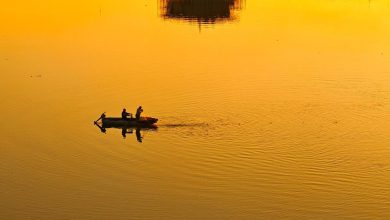 WhatsApp Image 2026 02 19 at 15.04.34