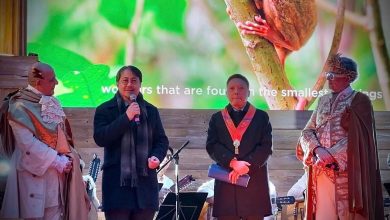 WhatsApp Image 2026 02 20 at 02.59.19