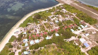 TFT Featured photo template 37 1