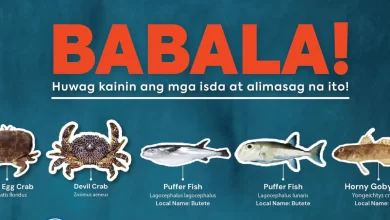 TFT Featured photo template 40