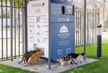 TFT Featured photo template 59