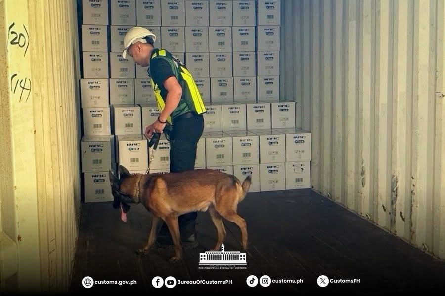 WhatsApp Image 2026 03 08 at 10.24.01