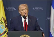 WhatsApp Image 2026 03 08 at 10.55.22